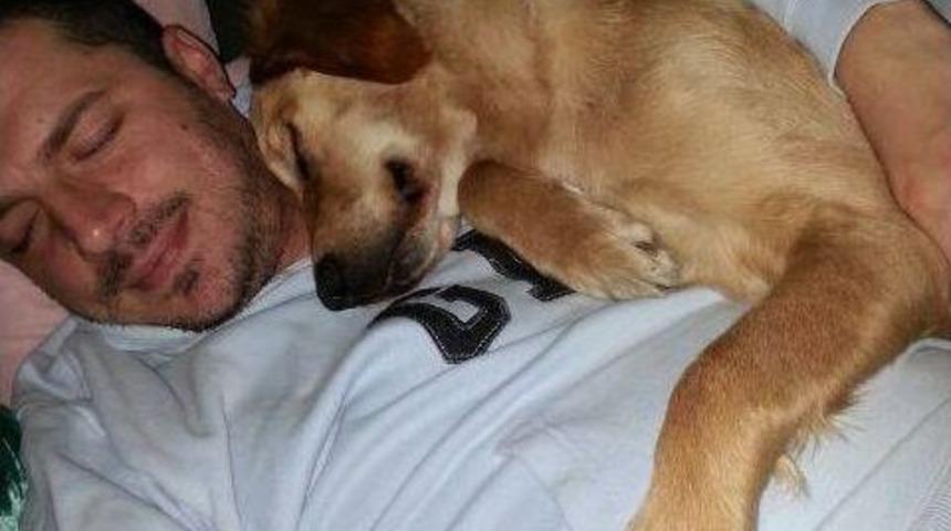 K&ouml;peğin İnanılmaz Sevgi G&ouml;sterisi Kamerada