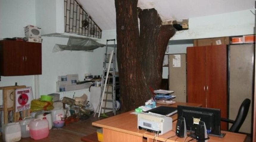 Zabıta Binası İ&ccedil;erisinde 30 Metrelik Ağa&ccedil;