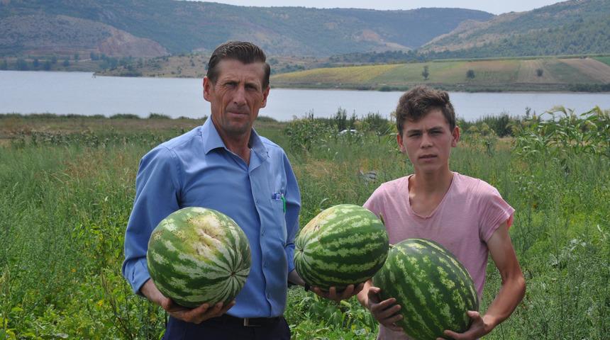 İnegöl'de karpuz hasadı başladı