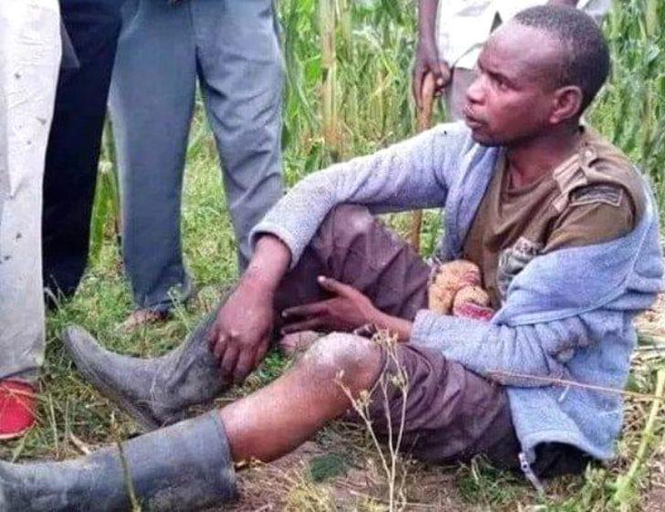 Komşusunun ineğine tecavüz ederken yakalandı! Savunması şoke etti G4