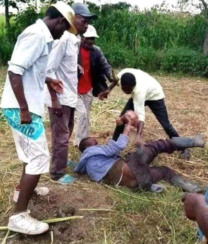 Komşusunun ineğine tecavüz ederken yakalandı! Savunması şoke etti G5