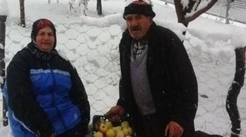 Kar Yağışı Meyve Ağa&ccedil;larına Zarar Verdi