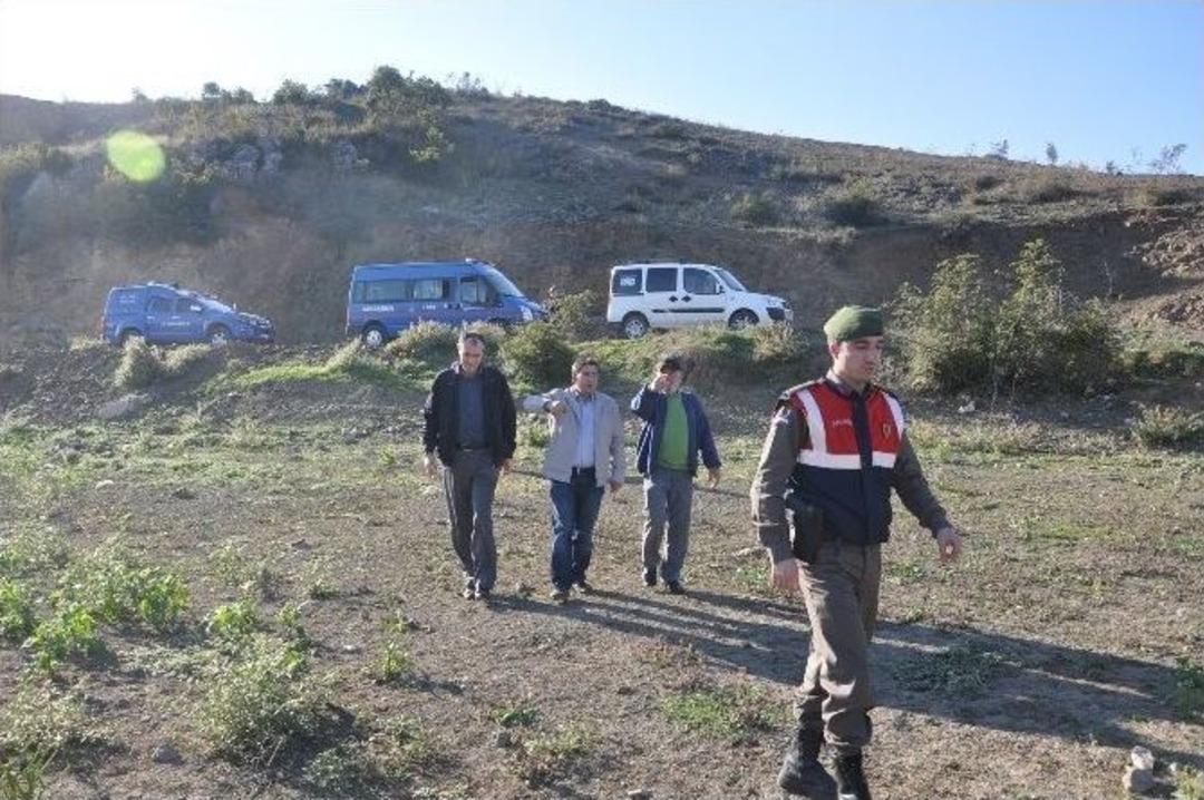 İneg&ouml;l&rsquo;deki Balık &Ouml;l&uuml;mleri İle İlgili İnceleme Başlatıldı
