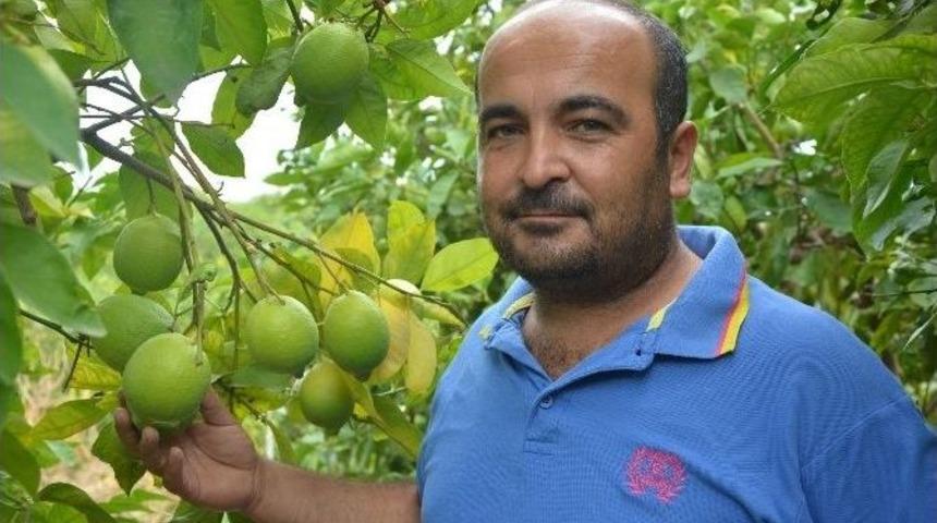 Erdemli&rsquo;de K&ouml;yl&uuml;ler &rsquo;organik Film Festivali&rsquo; Yapacak