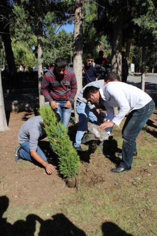 Ege’li Öğrenciler Kobani İçin Ölenler Adına Fidan Dikti