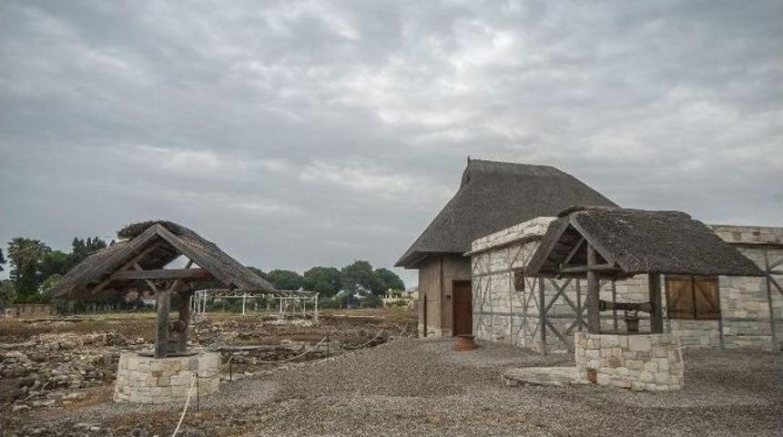 Urla&rsquo;da "doğru Hasat Ve Kaliteli Zeytinyağı" Eğitimi Verilecek