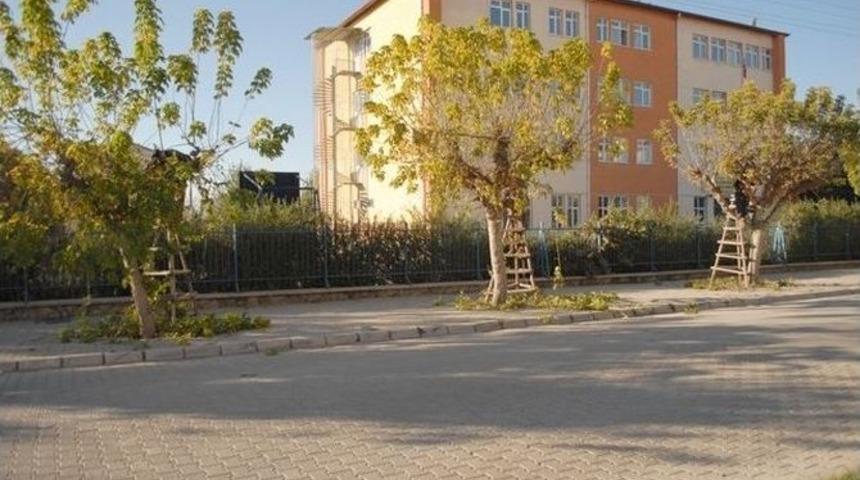 Bolvadin Belediyesi Ağa&ccedil; Budama &Ccedil;alışmalarına Başladı