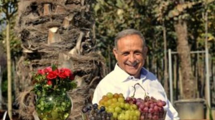 &Ouml;demiş 10. S&uuml;s Bitkileri Ve Fidancılık Sergisi İle Şenlenecek