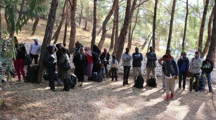 Jandarmayı G&ouml;r&uuml;nce Ka&ccedil;akları Yola Bırakıp Ka&ccedil;tılar
