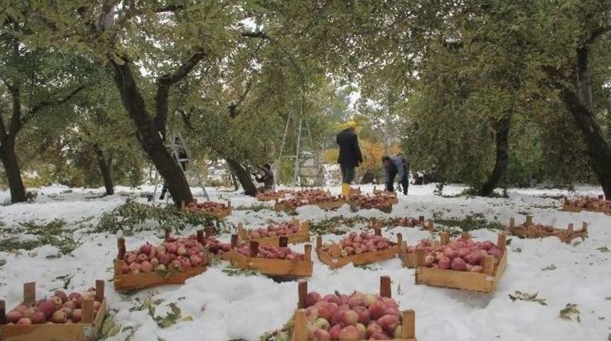 Hakkari’de Kar Yağışı 500 Bin Tl’ye Mal Oldu