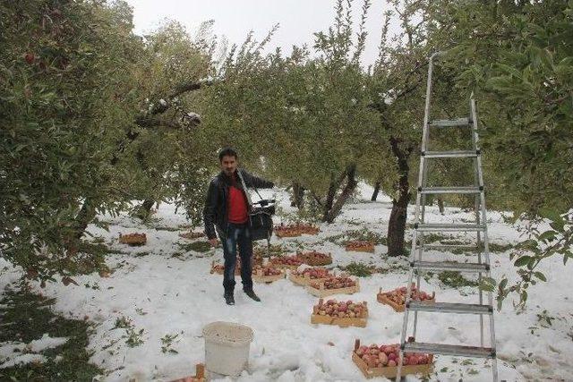 Hakkari’de Kar Yağışı 500 Bin Tl’ye Mal Oldu