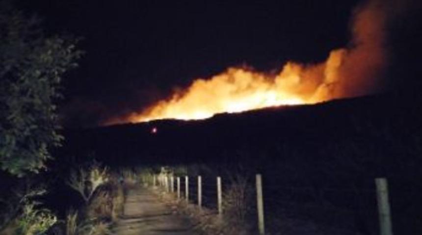 Tire&rsquo;de 10 Hektar Alan K&uuml;l Oldu