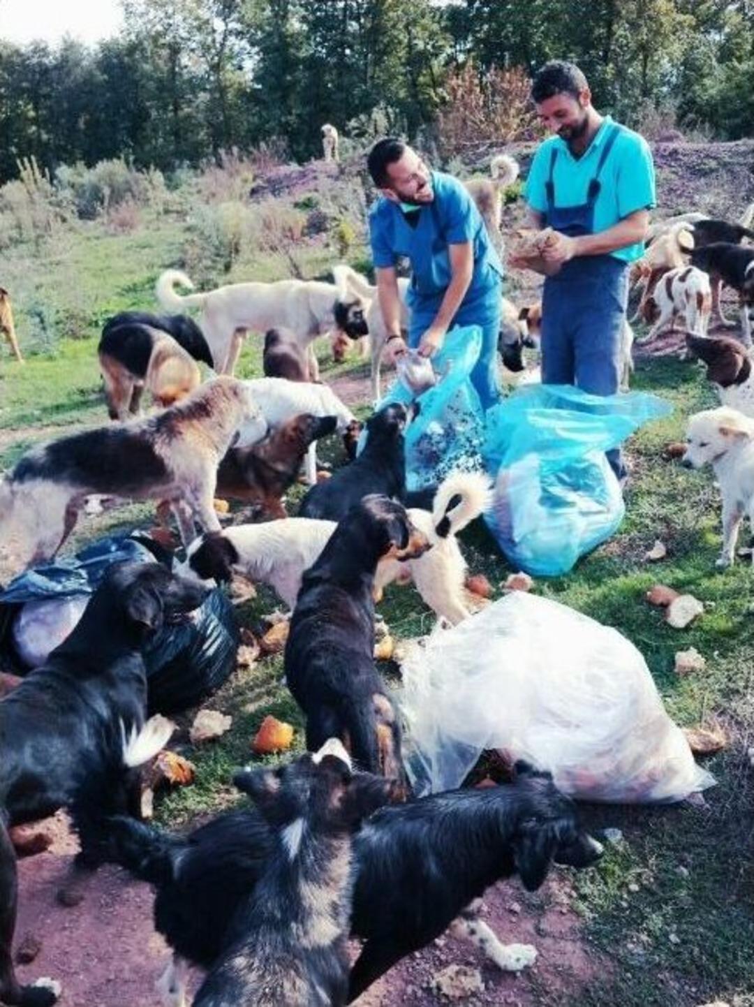 Barınaktaki K&ouml;peklere Talep Arttı