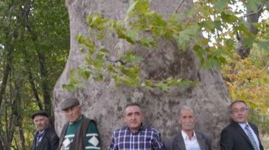 905 Yıldır Dimdik Ayakta