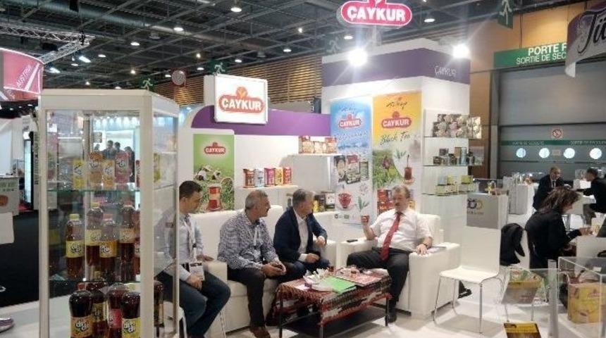 &Ccedil;aykur&rsquo;un Soğuk &Ccedil;ayı Didi Avrupa&rsquo;da G&ouml;r&uuml;c&uuml;ye &Ccedil;ıktı