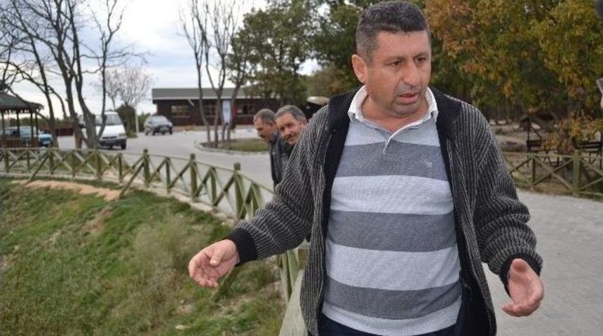 Tekirdağ&rsquo;da Korkutan Balık &Ouml;l&uuml;mleri