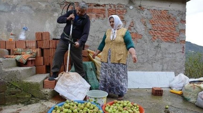 Karadenizli Zekası Yine Şaşırttı
