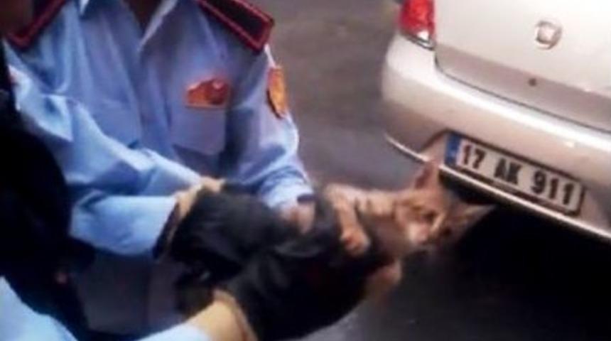 İtfaiyeden Kedi Operasyonu