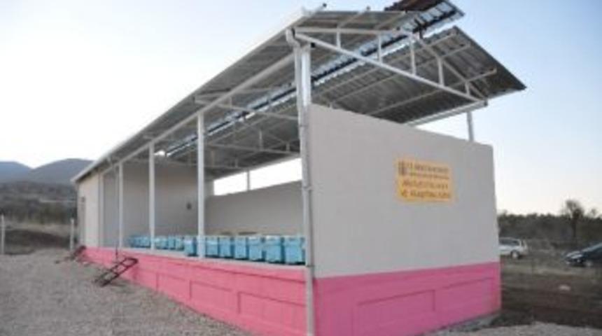 &Uuml;niversitede &Uuml;retiliyor, 60 Tl&rsquo;den Satılıyor