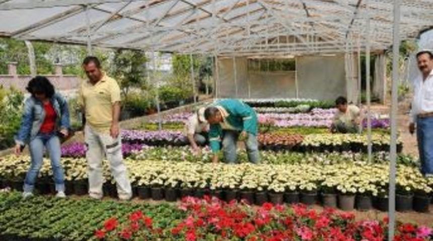 Yenişehir Fidanlığında Kış İ&ccedil;in 30 Bin &Ccedil;i&ccedil;ek &Uuml;retiliyor