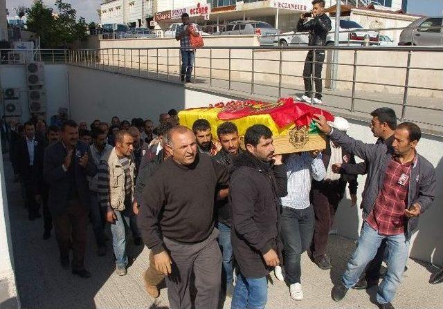 Kobani’de Vurulan Ypg’linin Cenazesi Memleketine Gönderildi