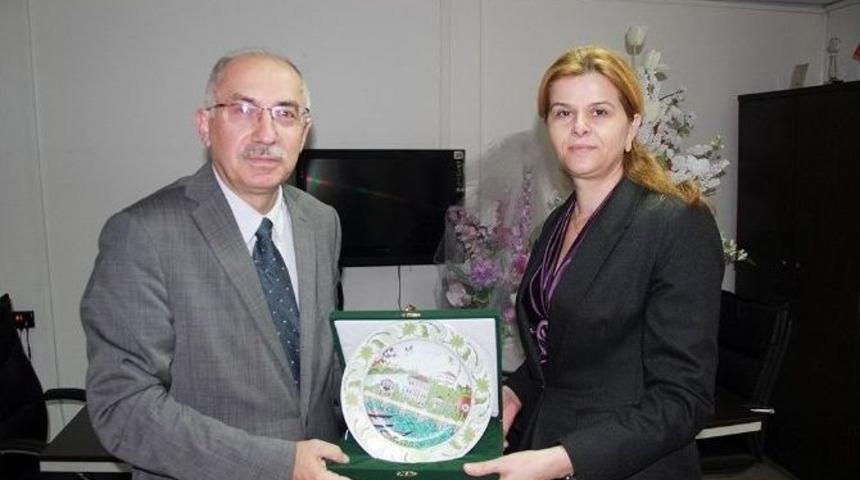 B&uuml;y&uuml;kşehir Tıp Merkezi T&uuml;rkiye&rsquo;ye &Ouml;rnek