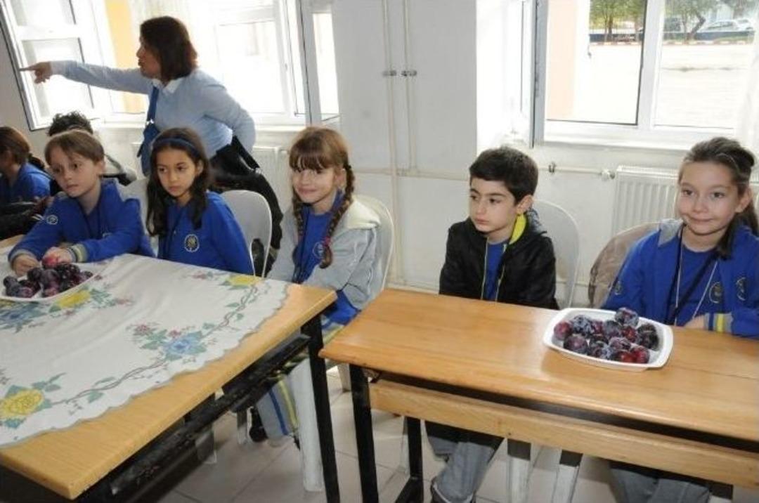 &Ccedil;ardak İlk&ouml;ğretim Okulu&rsquo;na İstanbullu Kardeş