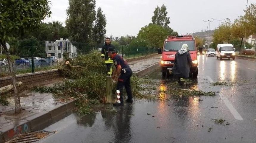 Aydın&rsquo;da Fırtına Ağa&ccedil; Devirdi