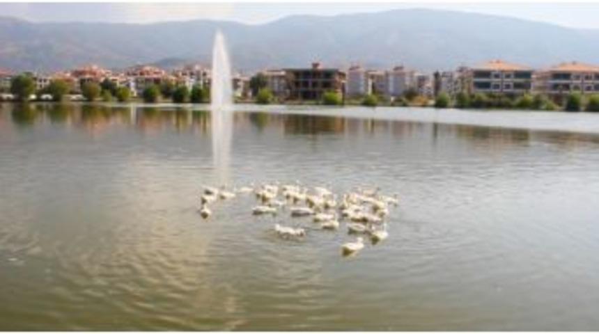 Tire&rsquo;nin G&ouml;leti&rsquo;nde Doğal Yaşam Renklendi