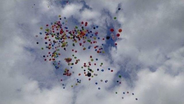 Erzincan Da Balon Şenliği Gökyüzünde Renkli Sahneler Oluşturdu