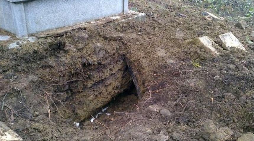 A&ccedil; Kalan Ayı, Mezardan Ceset &Ccedil;ıkartıp Yedi