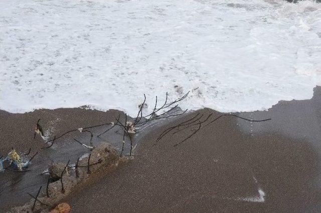 Karadeniz’de Dev Dalgalar Kıyıları Dövüyor