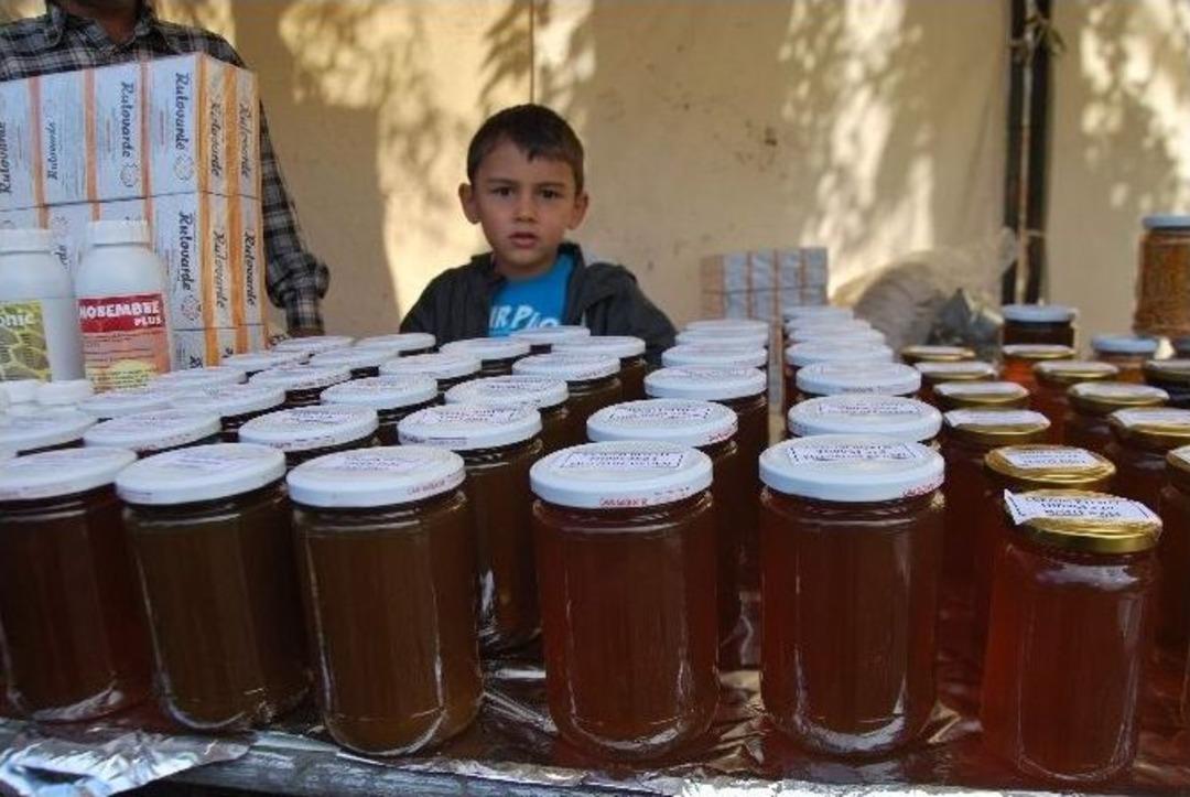 Bu Da En Tatlı Festival, Bal Festivalinde Vatandaş Bala Doydu