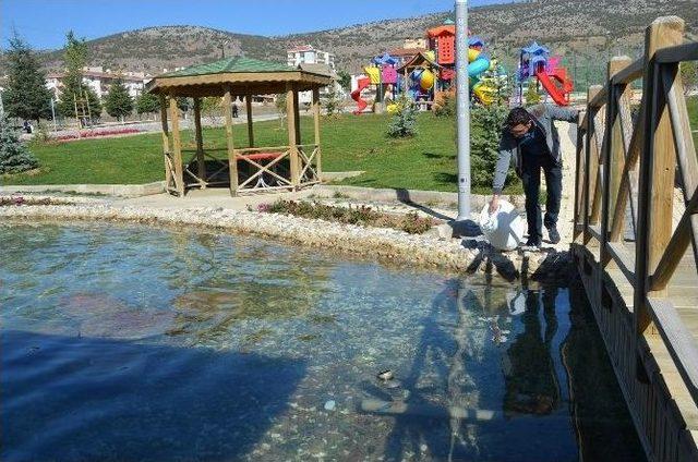 Bozüyük Belediyesi’nden Süs Havuzlarına Bakım