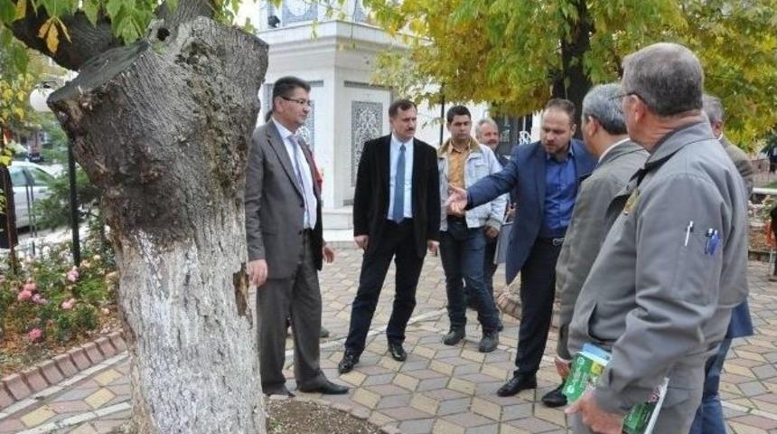 &Ccedil;an Belediyesi İle Orman İşletme M&uuml;d&uuml;rl&uuml;ğ&uuml; Ağa&ccedil; Dikim İşlemi Yapacak