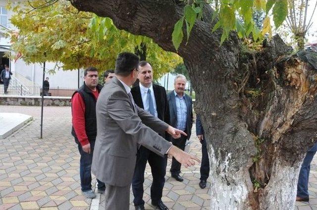 İbrahim Bodur, İş Ve Hayat Felsefesi Kitabı Hazırlanıyor