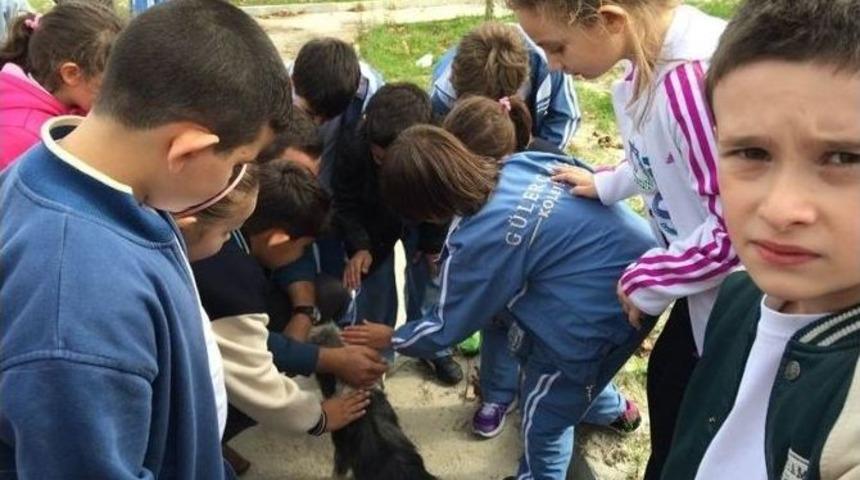 G&uuml;ler&ccedil;in&rsquo;in &Ouml;ğrencileri Hayvanları Unutmadı