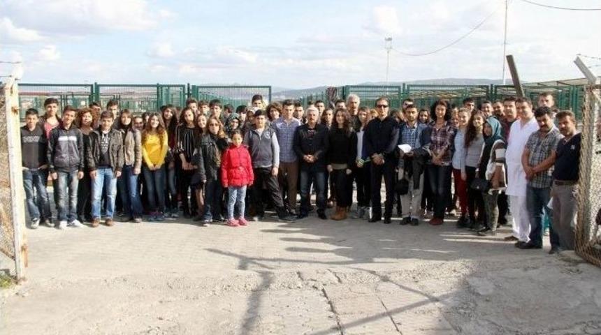 Hayvan Hakları G&ouml;n&uuml;ll&uuml;lerinden, Hayvan Barınağına Ziyaret