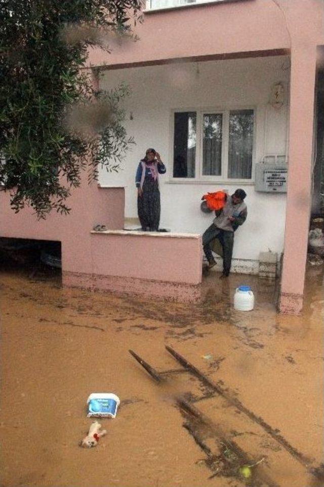 Taşan Dereler Evleri Sular Altında Bıraktı