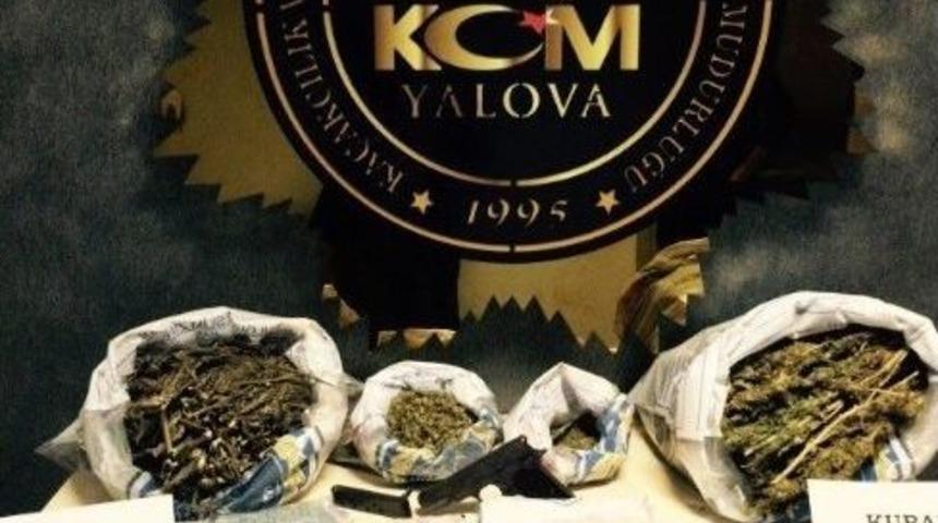 Yalova&rsquo;da 3 Koldan Uyuşturucu Baskını