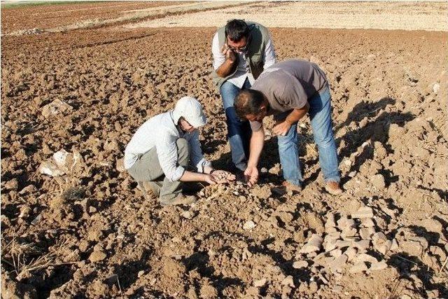 Iı. Etap Arkeolojik Yüzey Araştırmaları Gerçekleştirildi