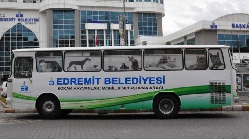 Edremit&rsquo;te Seyyar Mobil Hayvan Hastanesi Hizmete Girdi
