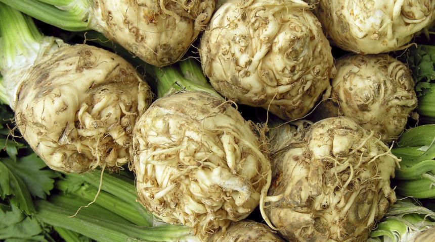 Şimdi tam mevsimi! Şifa kaynağı kereviz