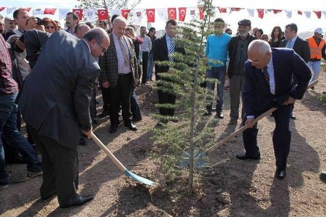 Yenimahalle’den Hastalara Orman Manzarası