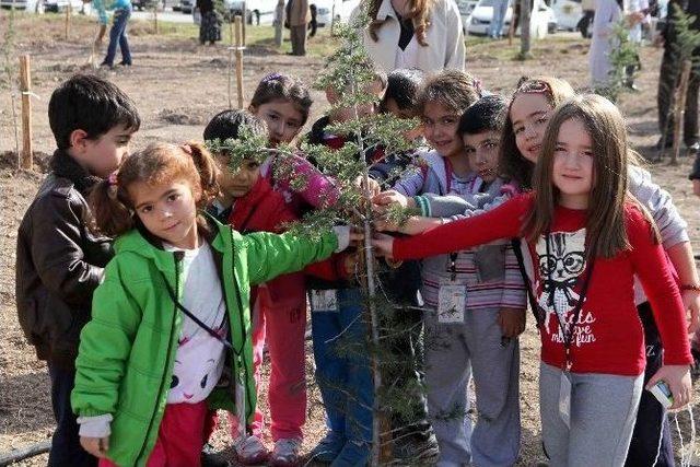 Yenimahalle’den Hastalara Orman Manzarası