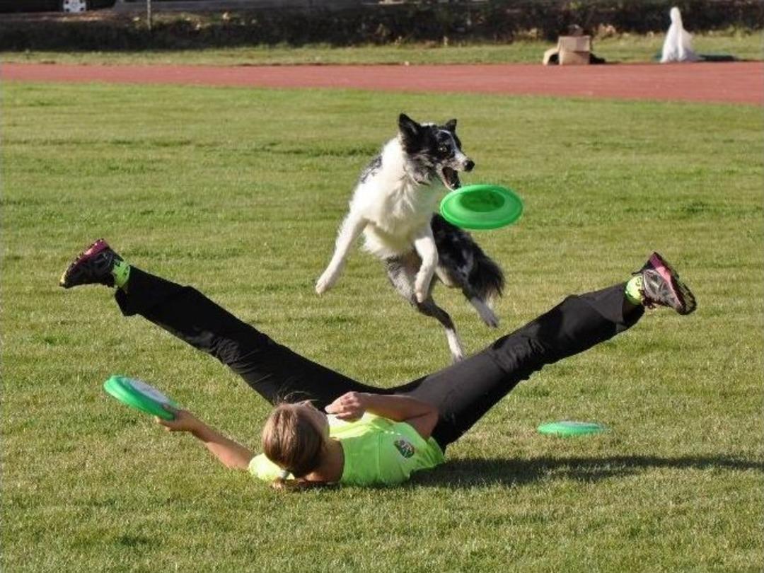 Kırıkkale &Uuml;niversitesinde K&ouml;pek G&ouml;sterisi