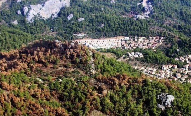 Yangınların Acı Yüzüne Havadan Bakış G1