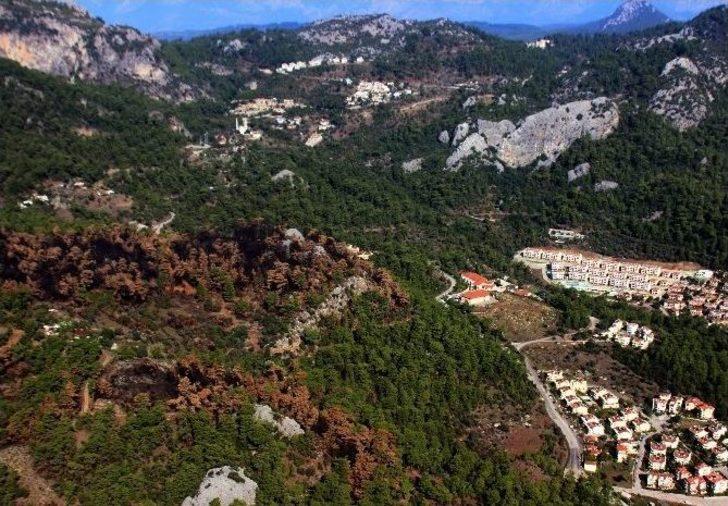 Yangınların Acı Yüzüne Havadan Bakış G2