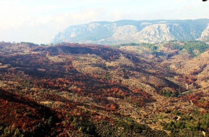 Yangınların Acı Yüzüne Havadan Bakış G4