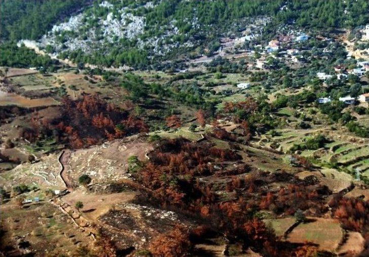 Yangınların Acı Yüzüne Havadan Bakış G5